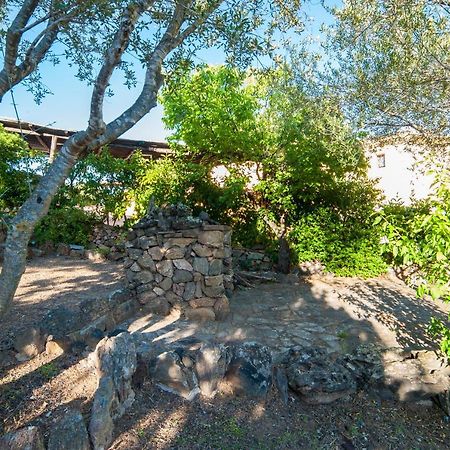 Villa Lilly Olbia Dış mekan fotoğraf