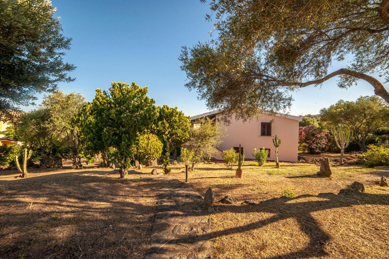 Villa Lilly Olbia Dış mekan fotoğraf