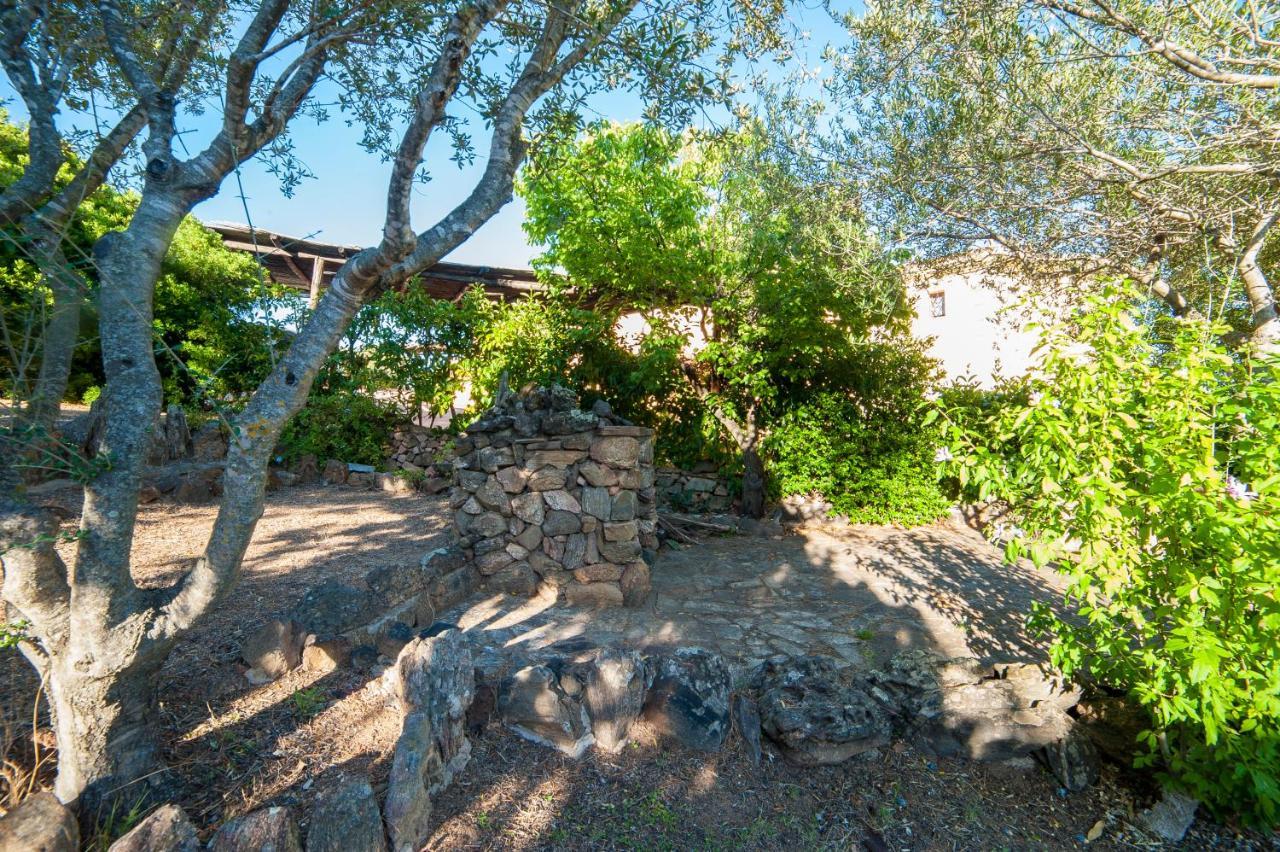 Villa Lilly Olbia Dış mekan fotoğraf